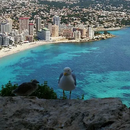 Voramar Calpe
